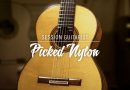 Native Instruments released Picked Nylon